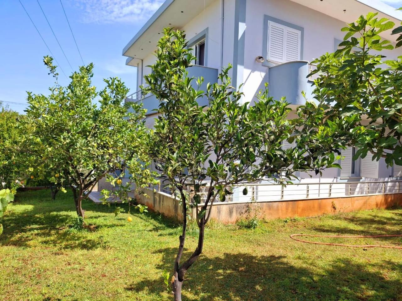 Myksamil Apartments Rom bilde