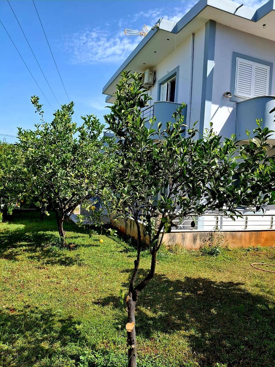 Myksamil Apartments Eksteriør bilde